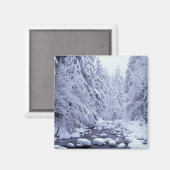 WA、山・ベーカー・スノクアルミー国有林。 マグネット (正面/裏面)