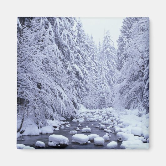 WA、山・ベーカー・スノクアルミー国有林。 マグネット (正面)