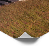 WA, Maury Island, Point Robinson Lighthouse, ポスター (角)