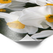 WA、Skagit Valley、Daffodilパターン フォトプリント (角)