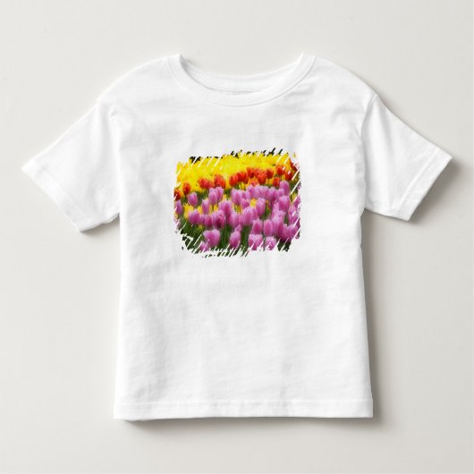 WA, Skagit Valley, Roozengaarde Tulip Garden, 2 トドラーTシャツ (正面)