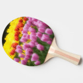 WA, Skagit Valley, Roozengaarde Tulip Garden, 2 卓球ラケット (横)