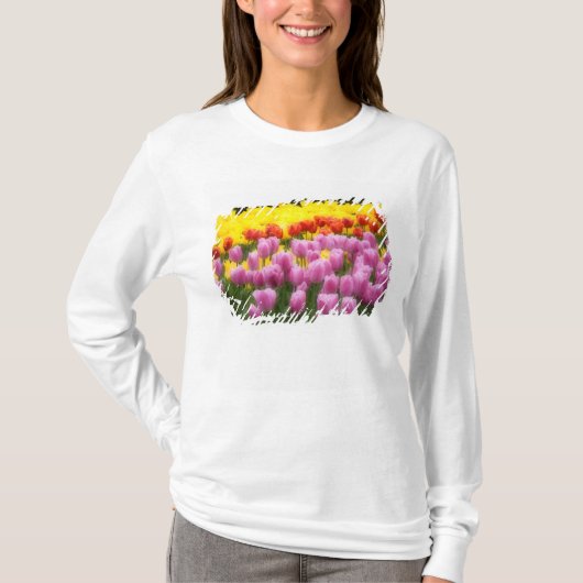 WA, Skagit Valley, Roozengaarde Tulip Garden, 2 Tシャツ (正面)