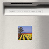 WA, Skagit Valley, Skagit Valley Tulip 2 マグネット (インサイチュ (食洗機))