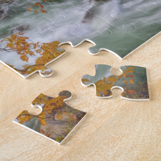 WA、Wenatchee National Forest、Maple tree、および ジグソーパズル (側面)