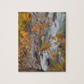 WA、Wenatchee National Forest、Maple tree、および ジグソーパズル (縦)