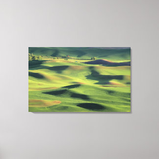 WA, Whitman County, Paluse Plantals，ビュー キャンバスプリント