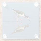 Wading Bird Calm Water反射フォト自然 ガラスコースター (裏面)
