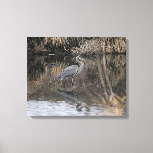 Wading Blue 素晴らし Heron Canvas Print キャンバスプリント (正面)