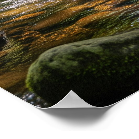 Wading in the Creek ポスター (角)