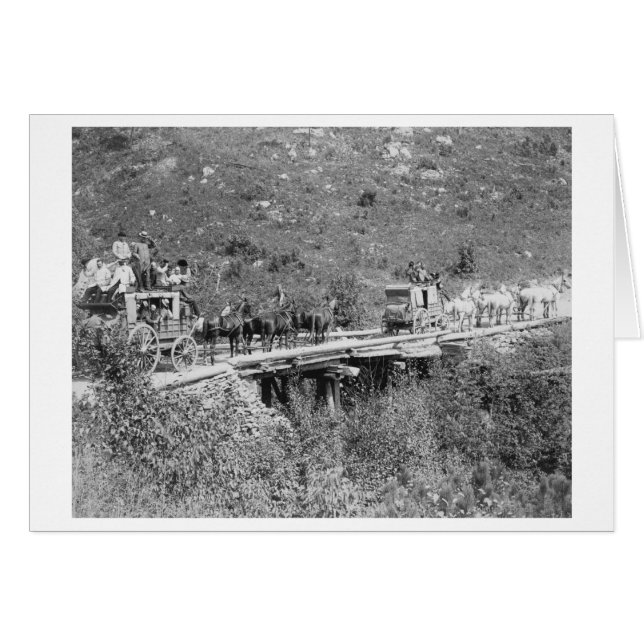 Wagon Wave and Tip Hats to Photographer (正面横)