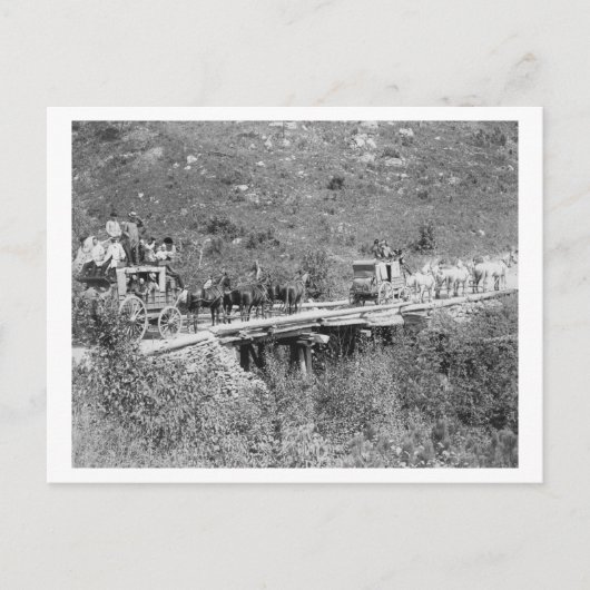 Wagon Wave and Tip Hats to Photographer ポストカード (正面)