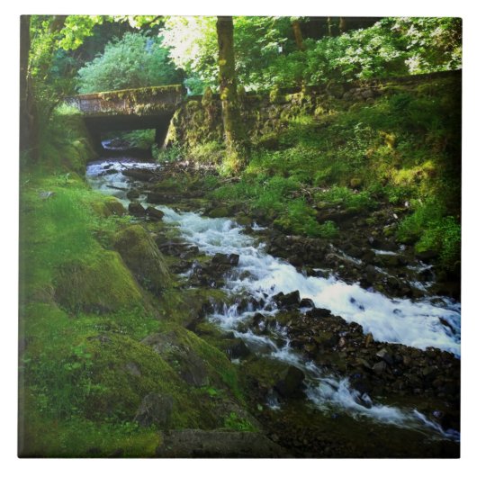 Wahkeenaからのランオフ秋、OR タイル (正面)