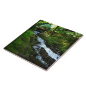 Wahkeenaからのランオフ秋、OR タイル (側面)