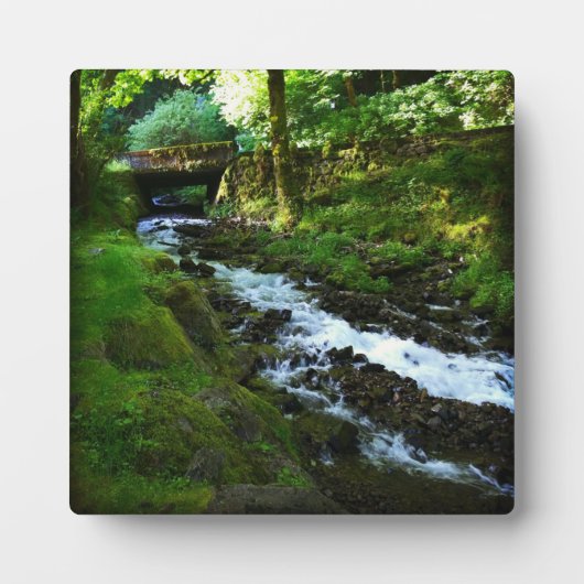 Wahkeenaからのランオフ秋、OR フォトプラーク (正面)