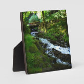 Wahkeenaからのランオフ秋、OR フォトプラーク (正面)