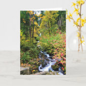 Wahkeena滝、コロンビア川峡谷、オレゴン カード (黄色い花)