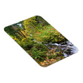 Wahkeena滝、コロンビア川峡谷、オレゴン マグネット (右側)