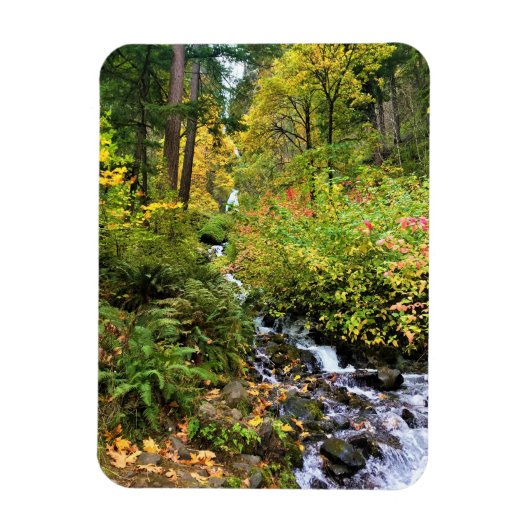 Wahkeena滝、コロンビア川峡谷、オレゴン マグネット (縦)