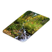 Wahkeena滝、コロンビア川峡谷、オレゴン マグネット (左側)