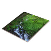 Wahkeena秋、または タイル (側面)