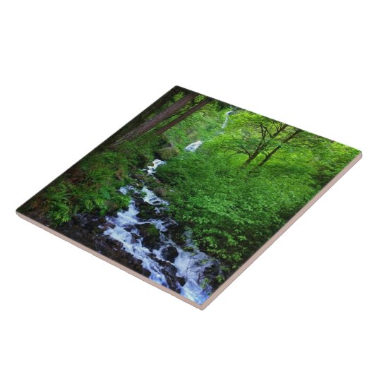 Wahkeena秋、または タイル (側面)