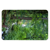 Wahkeena秋、または マグネット (横)