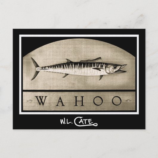 Wahooヴィンテージ白黒はがき ポストカード (正面)