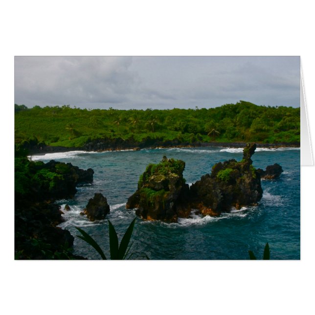 Waianapanapaの州立公園、マウイ (正面横)