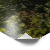 Waimea Canyon Above the Clouds, Kauai Hawaii フォトプリント (角)