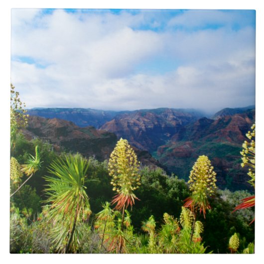 Waimea Canyon | Kauai, Hawaii タイル (正面)