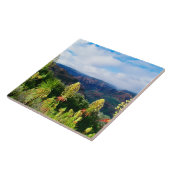 Waimea Canyon | Kauai, Hawaii タイル (側面)