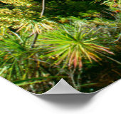 Waimea Canyon | Kauai, Hawaii ポスター (角)