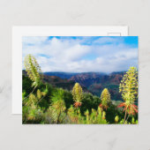 Waimea Canyon | Kauai, Hawaii ポストカード (正面/裏面)