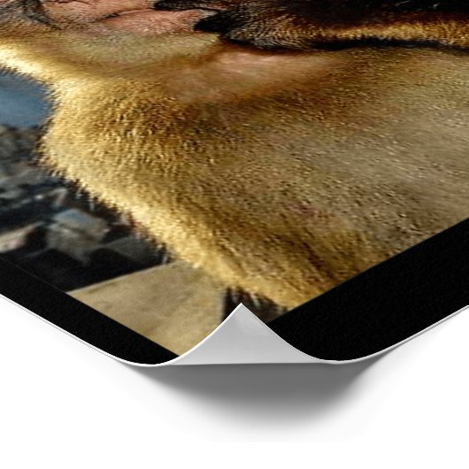 Wait I'm Goated Funny Thinking Monkey Meme Brainro ポスター (角)