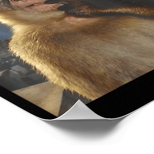 Wait I'm Goated Funny Thinking Monkey Meme Gen Z H ポスター (角)