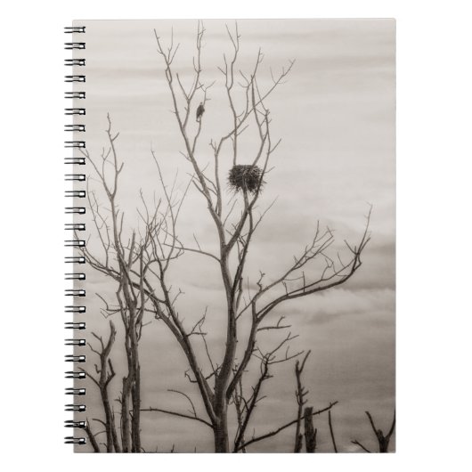 Waiting for Life ノートブック (正面)