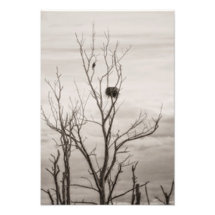 Waiting for Life フォトプリント