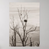 Waiting for Life ポスター (正面)