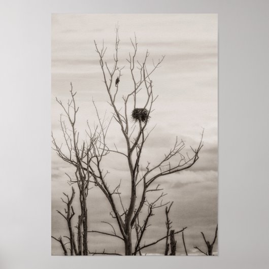 Waiting for Life ポスター (正面)