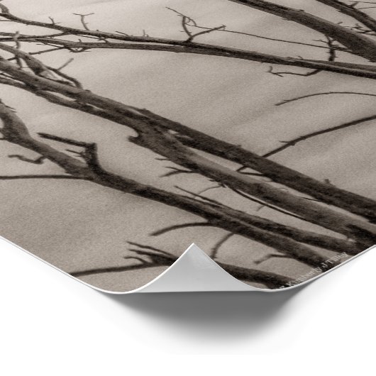 Waiting for Life ポスター (角)