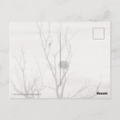 Waiting for Life ポストカード (裏面)
