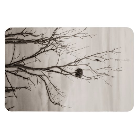 Waiting for Life マグネット (横)