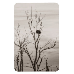 Waiting for Life マグネット
