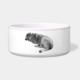 Waiting Patiently ボウル