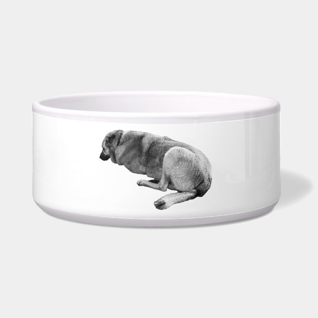 Waiting Patiently ボウル (正面)