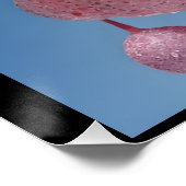 Wake Up Refreshed ポスター (コーナー)