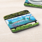 WAKULLAの春、フロリダ コースター (左側)