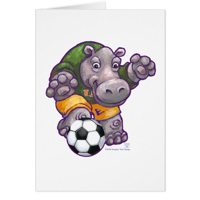 WALのサッカー (正面)