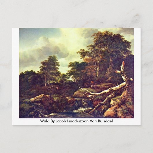 Wald by Jacob Isaackszoon Van Ruisdael ポストカード (正面)
